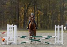 Me and my horse jumping at a show :)