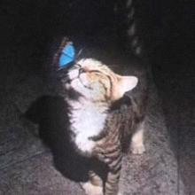 Profile picture for user kay_b