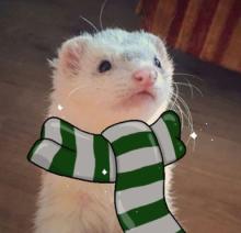 Profile picture for user P.M Tremlett