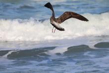 Profile picture for user Alden Smith