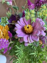 Profile picture for user LGC