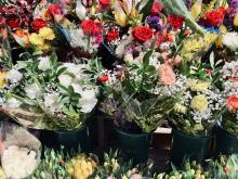 Profile picture for user Amelia_v