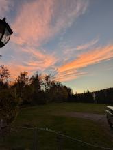 A beautiful and colorful sunset in the distance of the trees