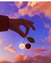 Profile picture for user Lila G