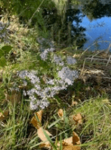 Profile picture for user Just_a_writer