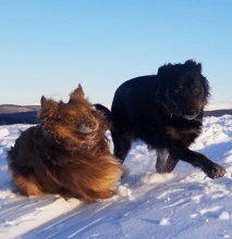 Profile picture for user EliBella