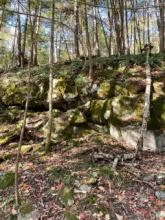 Profile picture for user Just_a_writer