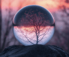 Profile picture for Siyona.S.stay