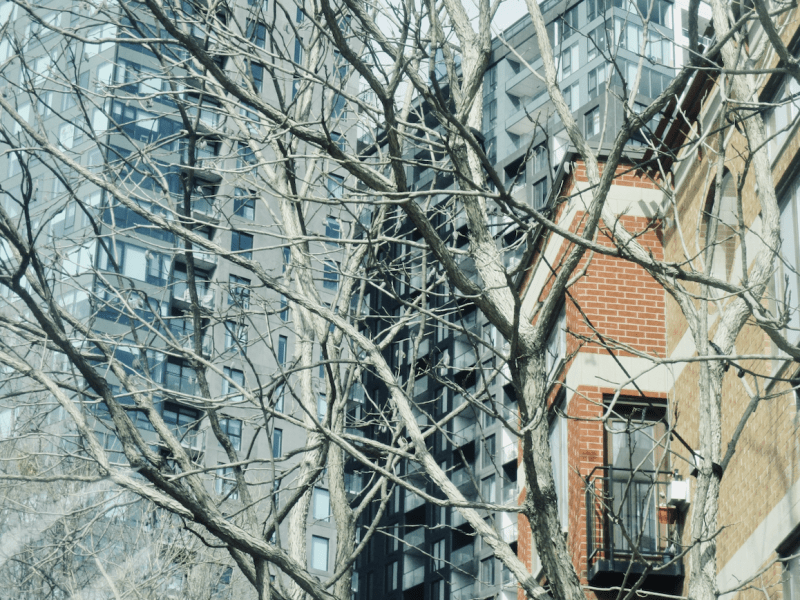 Montreal, old and new buildings