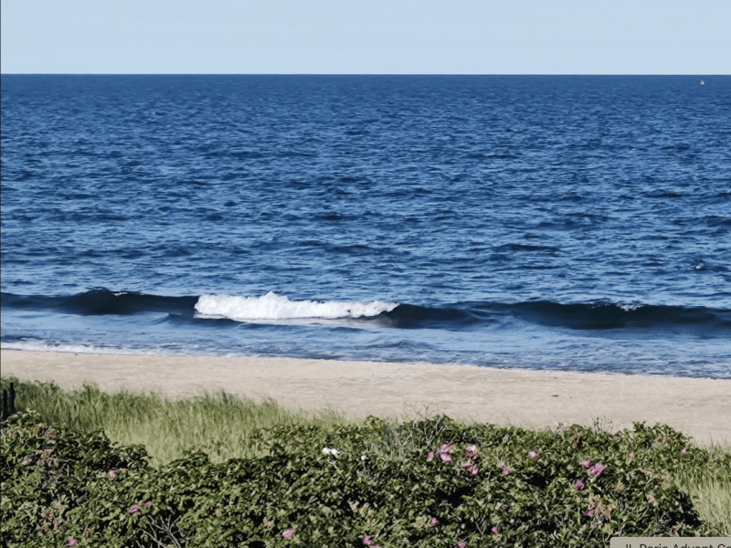 Image of a beach.
