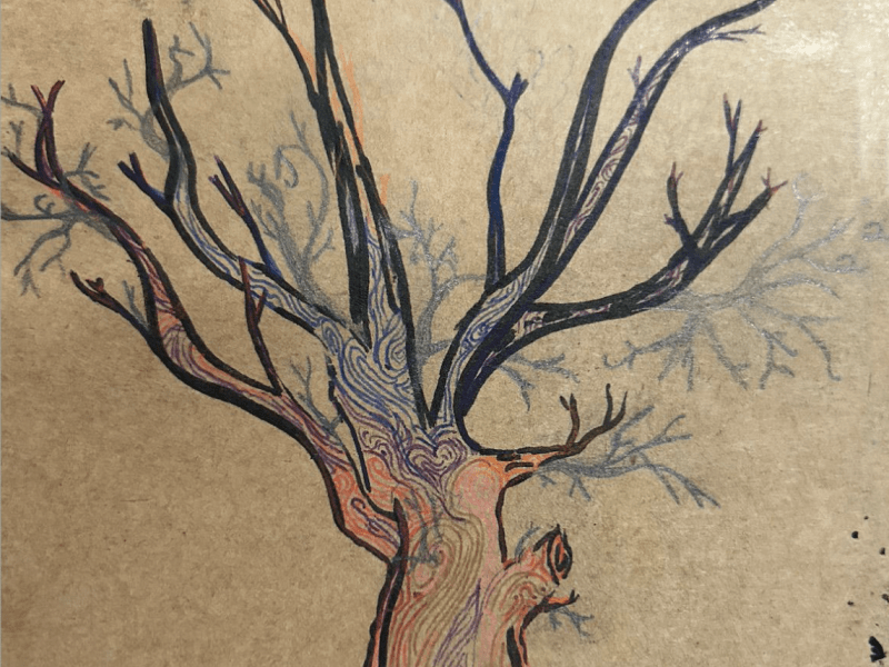 Drawing of a tree.