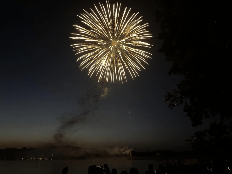Image of a circular, golden firework in the night sky.