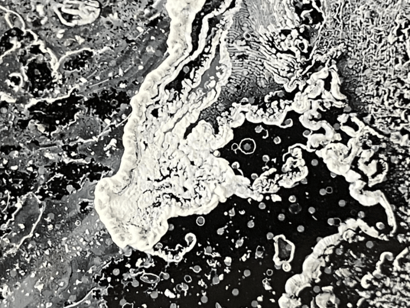 Image of black and white sea foam.