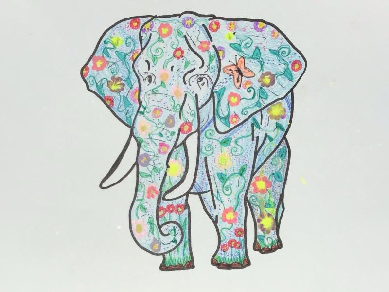 elephant 