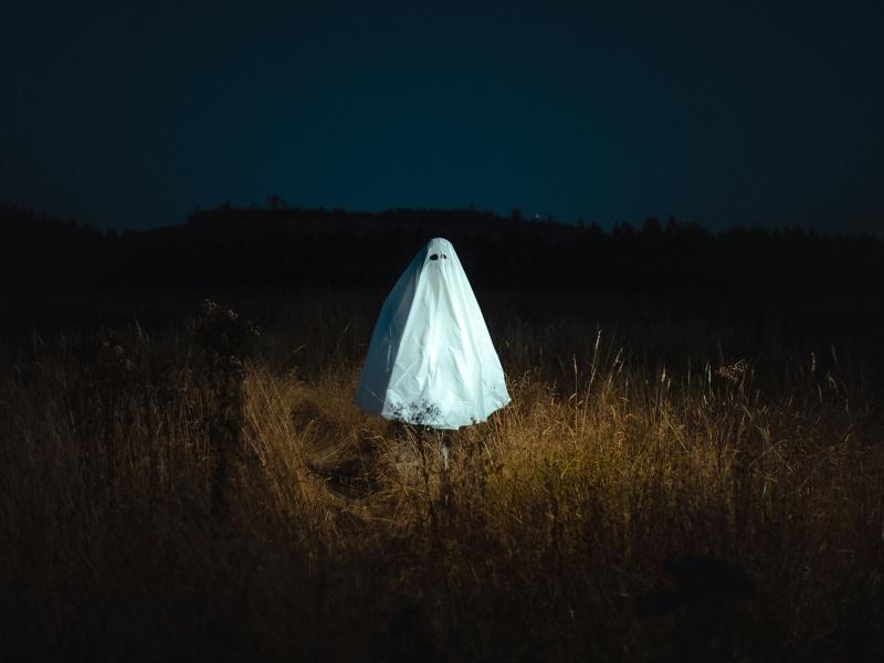 Image of a ghost in a field.