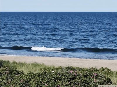 Image of a beach.