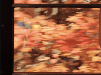 Image of blurry fall leaves outside of a schoolbus window.