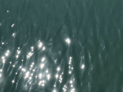 Image of shimmering water.