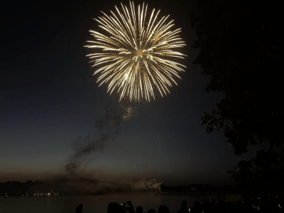 Image of a circular, golden firework in the night sky.