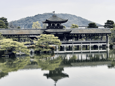 Image of a Japanese garden.