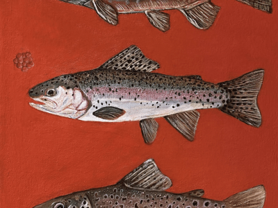 Painting of three trout.
