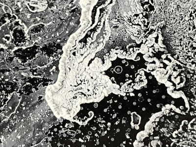 Image of black and white sea foam.