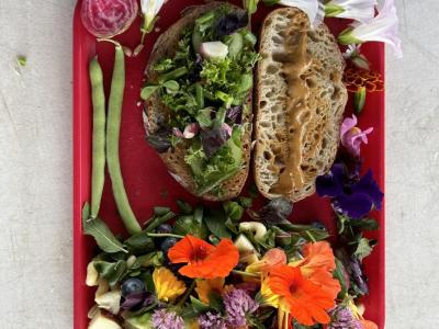 Summer foods