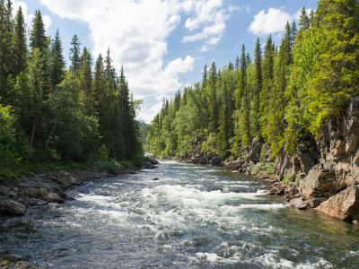 Image of a river.
