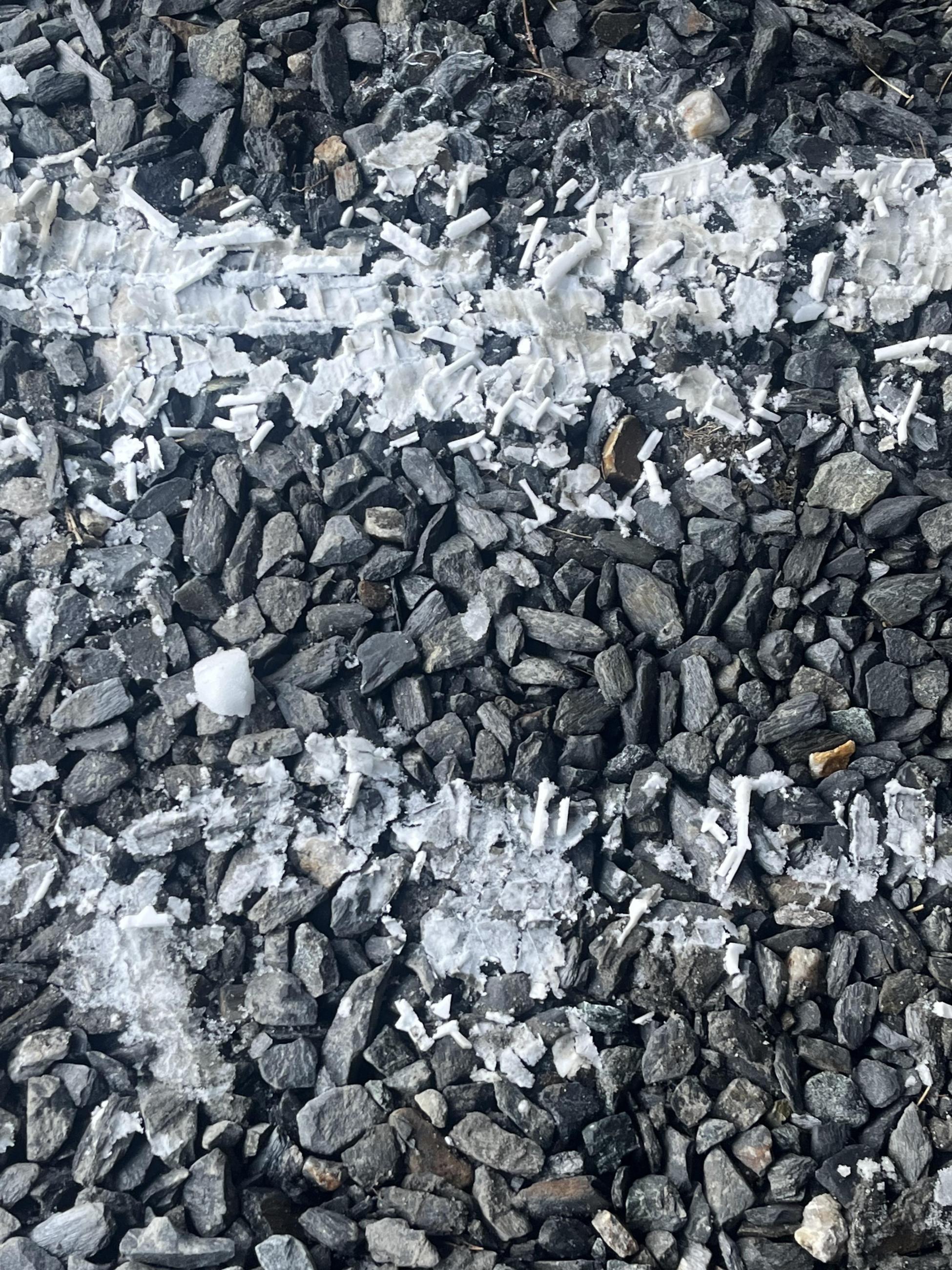 Tracking in Snow | Young Writers Project