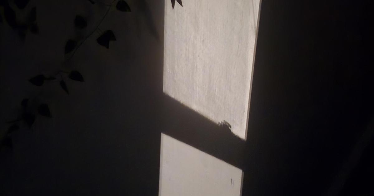 Writer Shadow Shadow | Young Writers Project