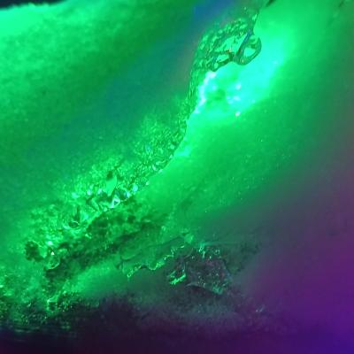 Christmas lights captured in ice