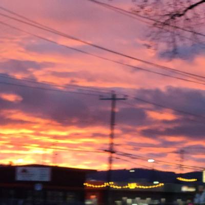 Pink and gold sunset and string of lights