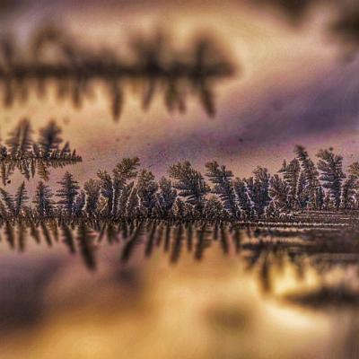 Ice crystals against amber background