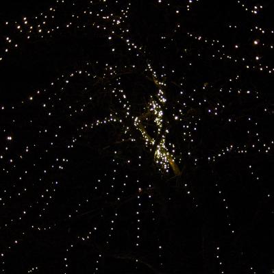 Dots of light in night sky