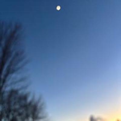 A photo of a night sky, dark blue at the top fading into yellow, with a skyline of trees and a white moon high above.