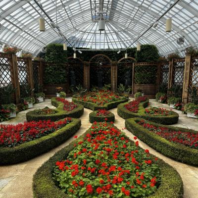 Red Flowers