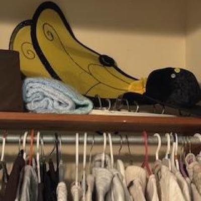 A picture of a closet - tops hang below a metal bar, and above on a wooden shelf, a pair of yellow fabric bumblebee wings are folded