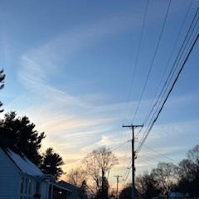 A blue sky fading into orange behind a silhouette of trees and a telephone pole