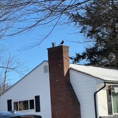 A photo of a rooftop with a chimney against a bright blue sky. A black bird perches on top of the chimney.