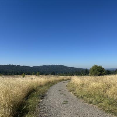 A hilltop scenic view near Portland, OR