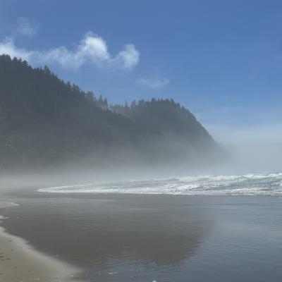 A photo of the Oregon coast beach at Cove Beach.