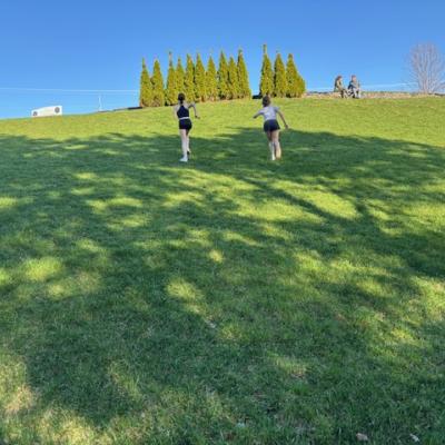 Two people running up a bright green hill to a crop of trees with a clear blue sky in the distance