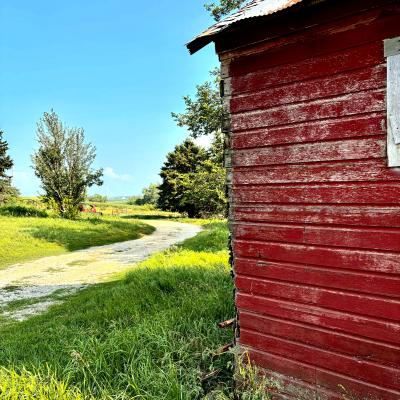 A bright, red barn on the right with a path cutting through the grass and into the farmland.