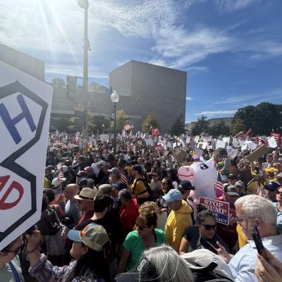 No Kings protest