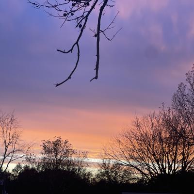 A sunset with dark colors