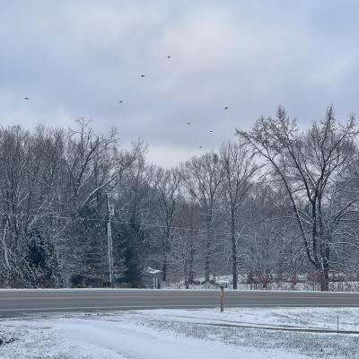 The road by my house 