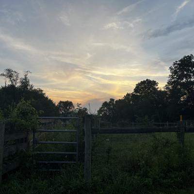 Sunset