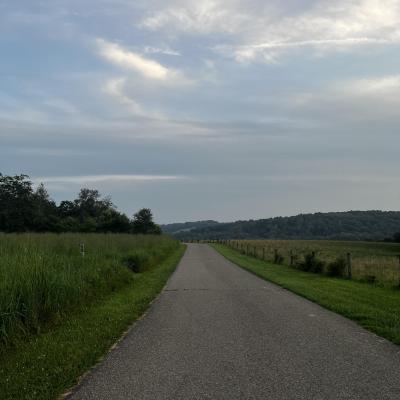 Trail