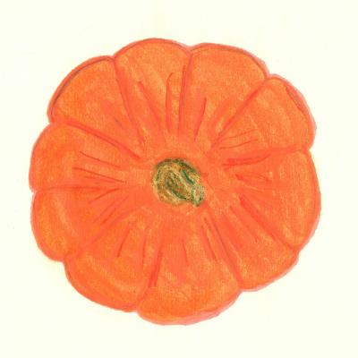 This is a drawing of a pumpkin from the top.