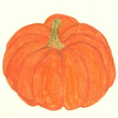 This is a drawing of a pumpkin.